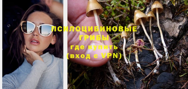 PSILOCYBIN Нязепетровск