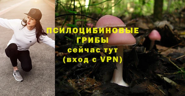 молекула духа Осташков