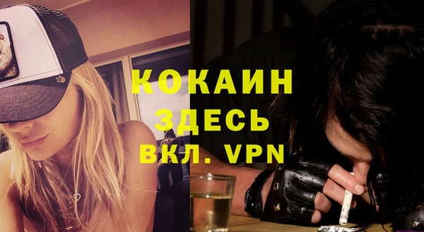 молекула духа Осташков