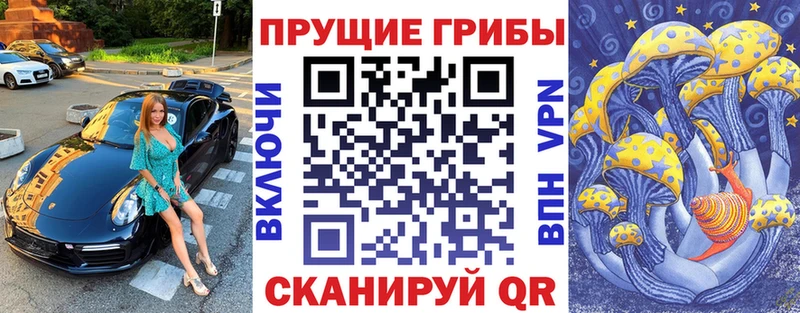 где купить наркотик  Мирный  Псилоцибиновые грибы MAGIC MUSHROOMS 