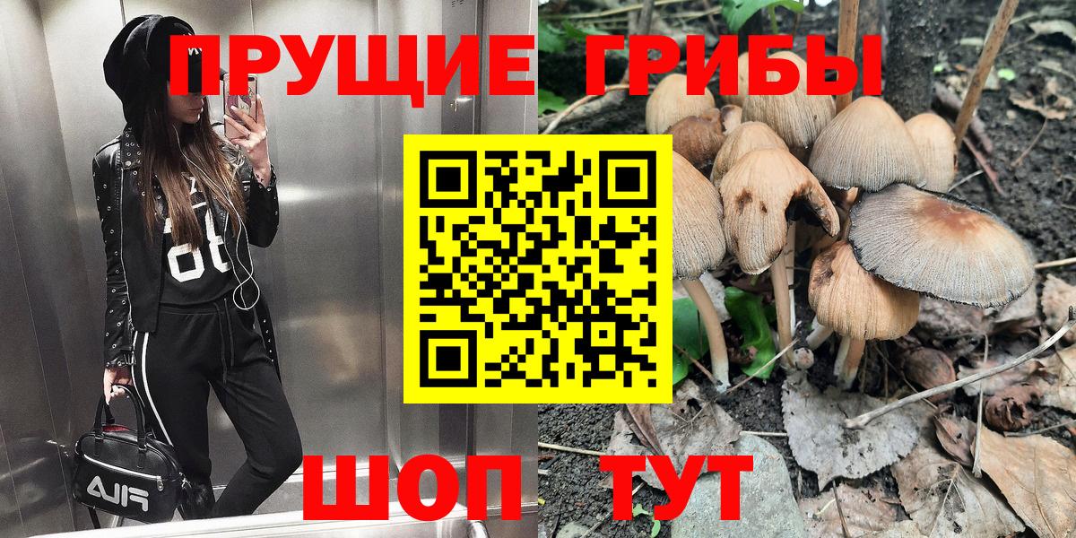 Галлюциногенные грибы Cubensis  наркошоп  Мирный 