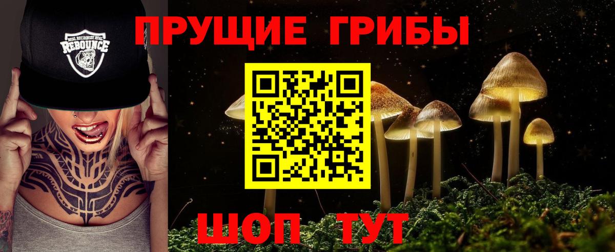 Галлюциногенные грибы Cubensis  Вход с VPN  Мирный 